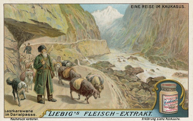Karawane in der Darialschlucht, Russland von European School