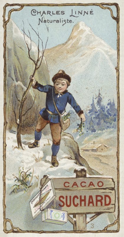 Carl von Linné, schwedischer Botaniker und Zoologe, als Kind von European School