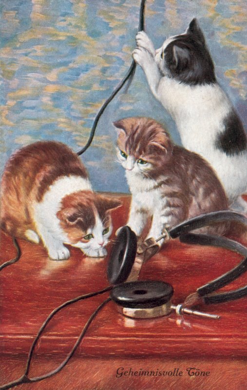 Humorvolle Katzenpostkarte von European School