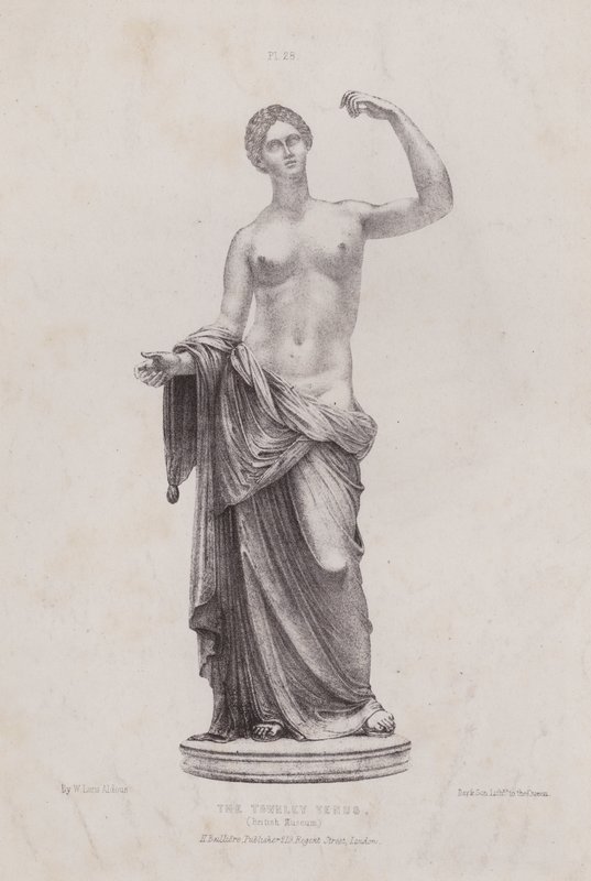 Illustration für Die Anatomie der äußeren Formen des Menschen: Die Townley Venus, British Museum von European School