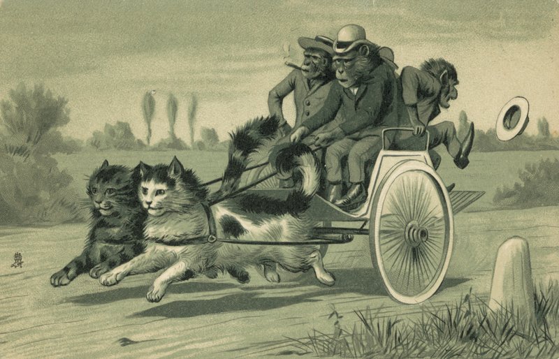 Affen fahren eine Kutsche, die von zwei Katzen gezogen wird von European School