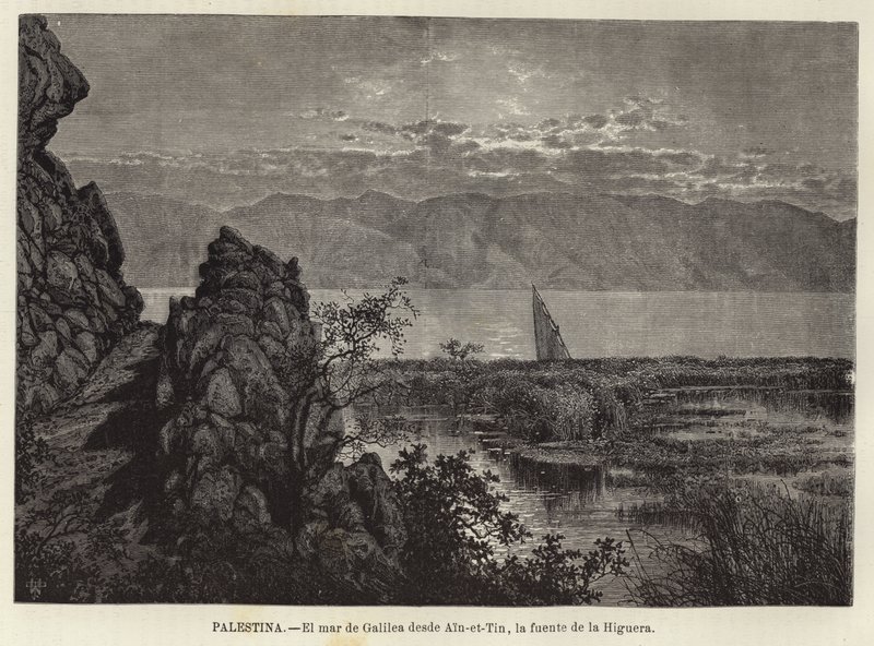 Palästina, Der See Genezareth von Ain-et-Tin, der Feigenquelle, aus gesehen von European School