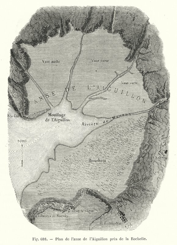 Plan der Bucht von Aiguillon bei La Rochelle (Stich) von European School