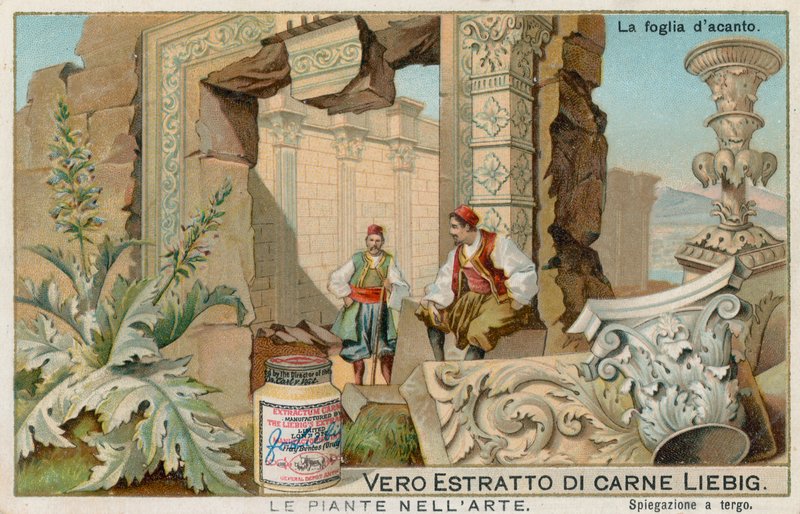 Pflanzen in der Kunst, Liebig-Karte, frühes 20. Jahrhundert von European School
