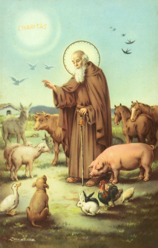 St. Franziskus von Assisi umgeben von Tieren von European School