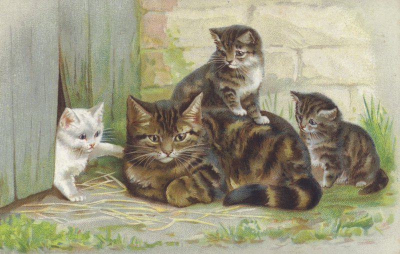 Getigerte Katze mit drei Kätzchen von European School