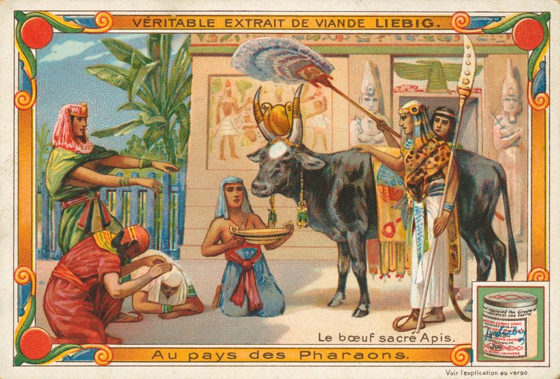 Der heilige Stier Apis, Liebig-Karte, frühes 20. Jahrhundert von European School