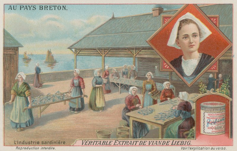 Frauen bereiten Sardinen vor (Chromolithografie) von European School