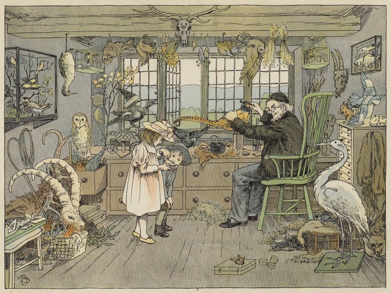 Vogelpräparator von Francis Donkin Bedford