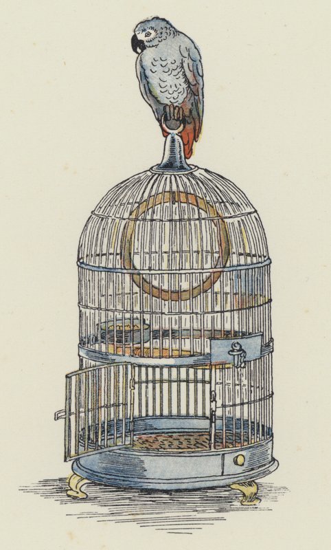 Papagei auf seinem Käfig von Francis Donkin Bedford