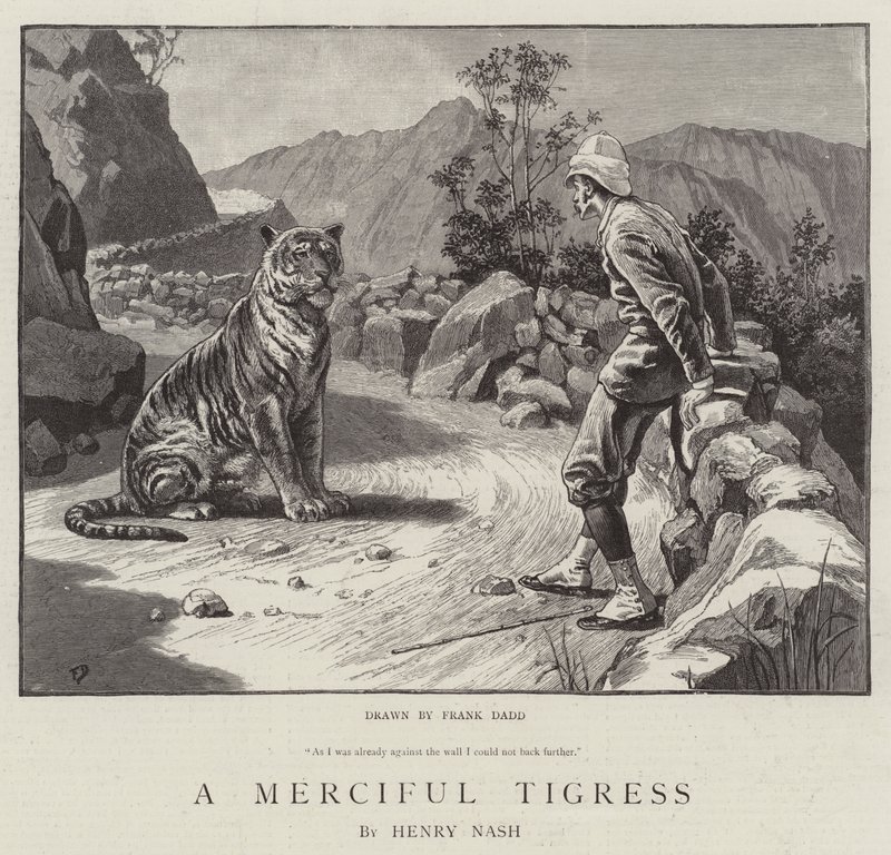 Eine barmherzige Tigerin von Frank Dadd