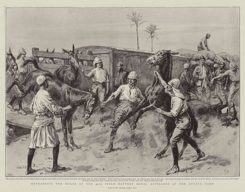Entladung der Maultiere der 32. Feldbatterie der Royal Artillery im Atbara-Lager von Frank Dadd
