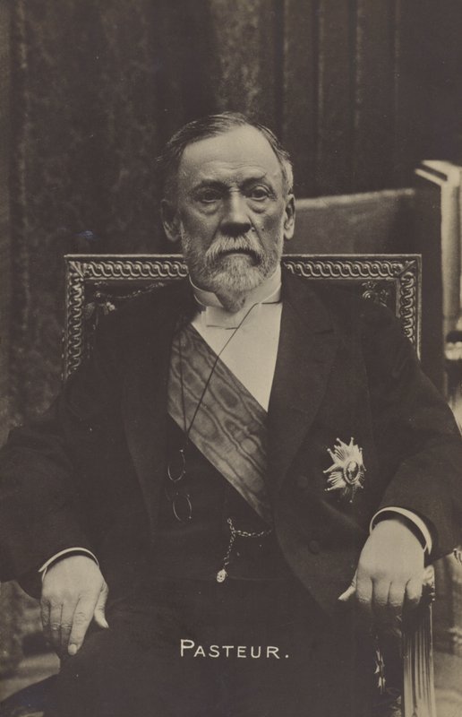 Louis Pasteur (1822-1895), französischer Chemiker und Mikrobiologe von French Photographer