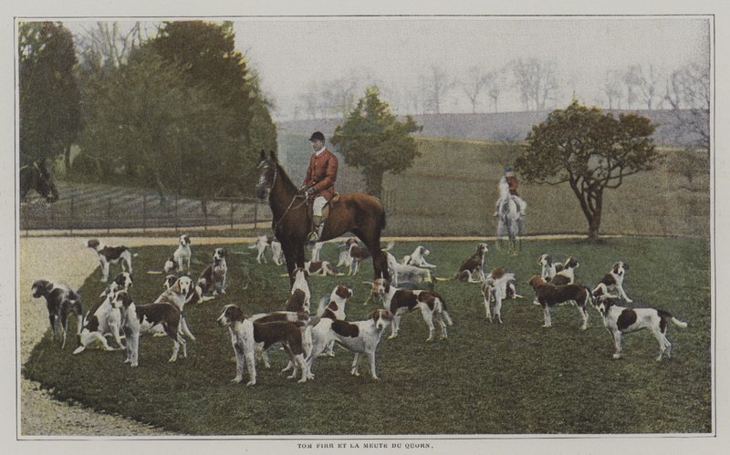 Tom Firr und die Hunde der Quorn Hunt, Leicestershire von French Photographer