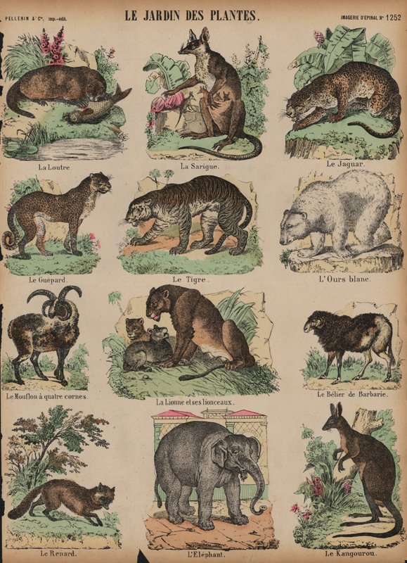 Tiere im Jardin des Plantes, Paris, Frankreich von French School
