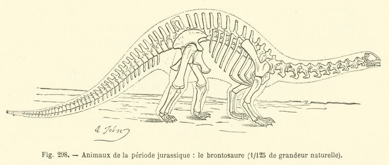 Tiere der Jura-Periode, der Brontosaurus von French School