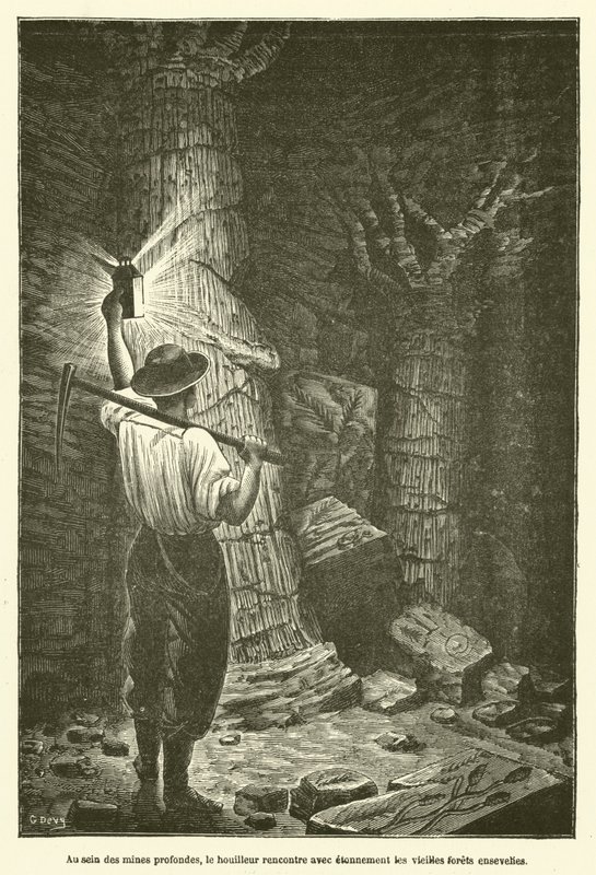 In den tiefen Minen trifft der Bergmann erstaunt auf die alten begrabenen Wälder (Gravur) von French School