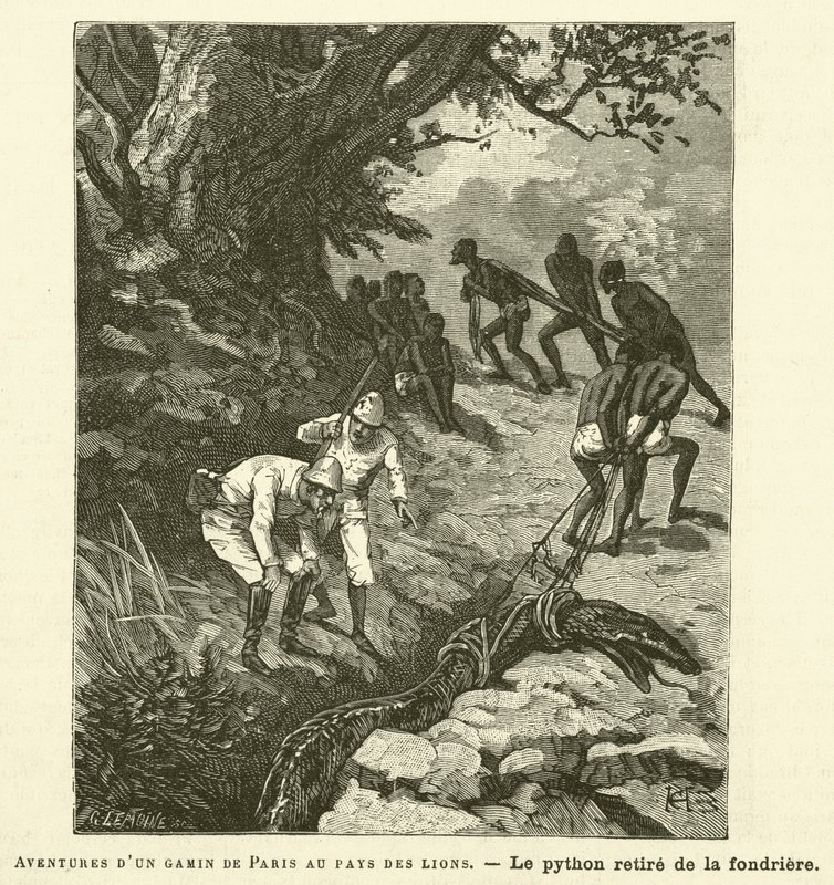 Abenteuer eines Pariser Jungen im Land der Löwen von French School
