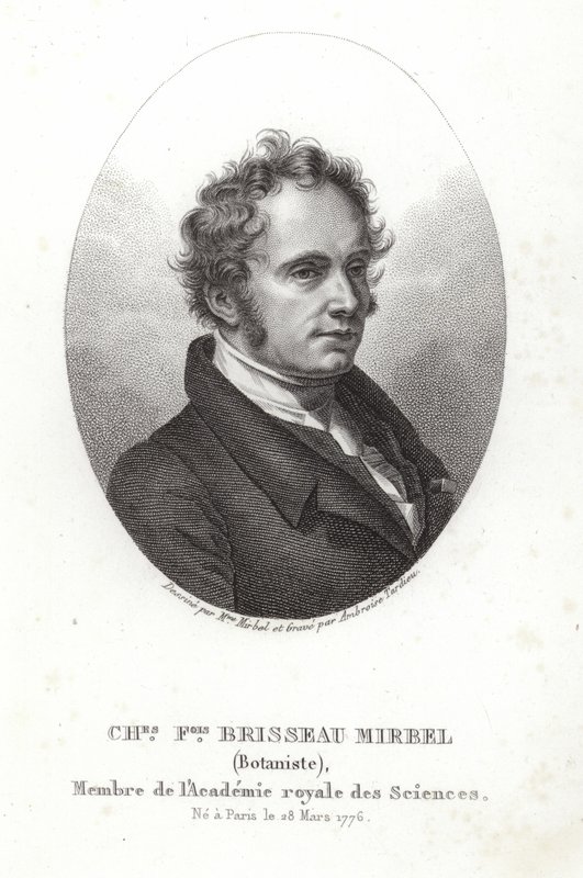 Charles-François Brisseau de Mirbel von French School