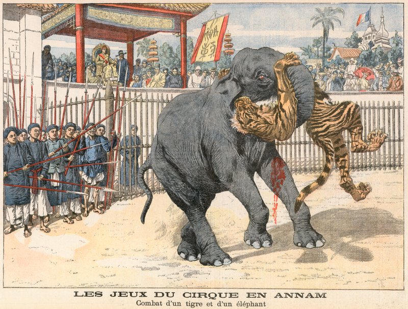 Kampf zwischen einem Tiger und einem Elefanten von French School
