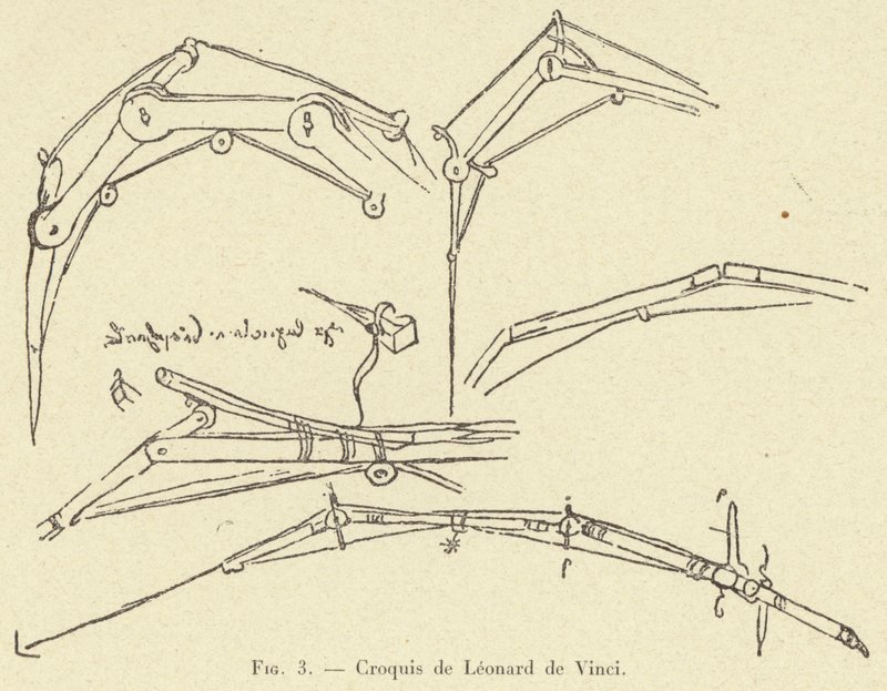Skizzen von Leonardo da Vinci von French School