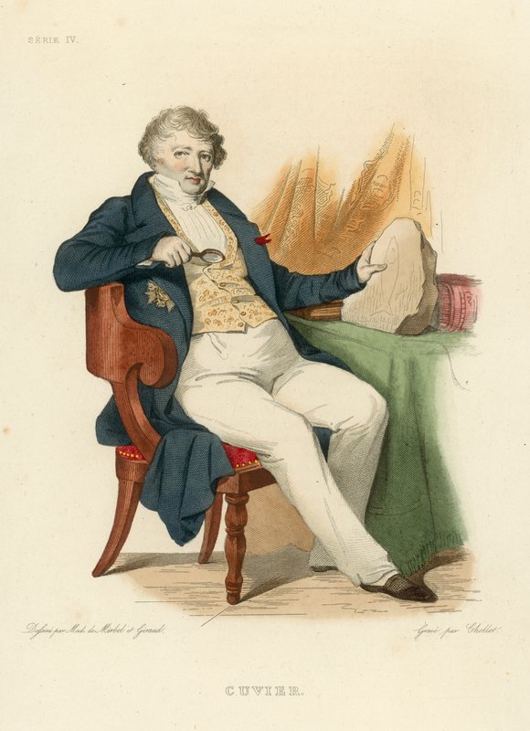 Cuvier von French School