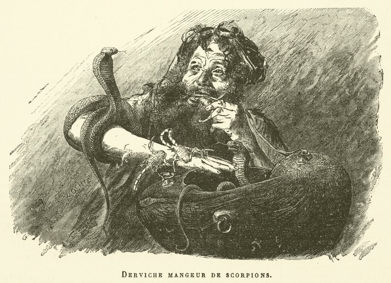 Derwisch Skorpionesser von French School