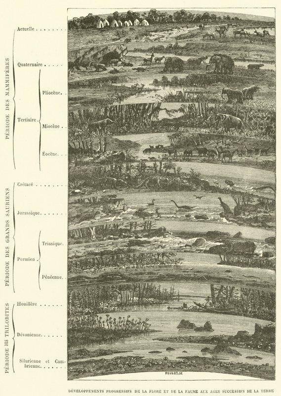 Fortschreitende Entwicklungen der Flora und Fauna in den aufeinanderfolgenden Erdzeitaltern von French School