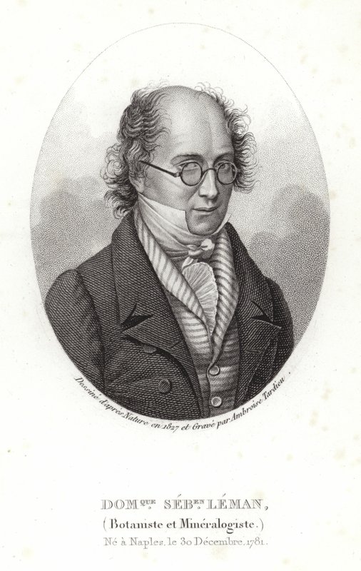 Dominique Sebastion Leman von French School
