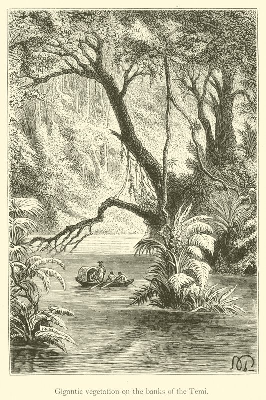 Gigantische Vegetation an den Ufern des Temi von French School
