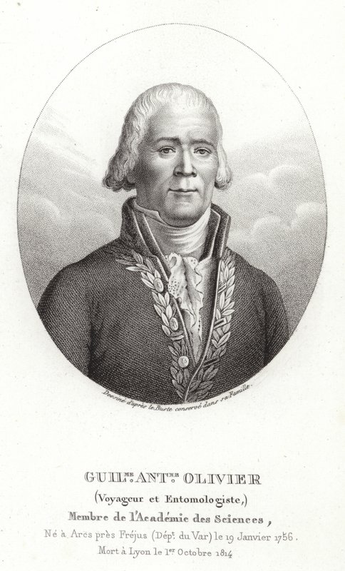 Guillaume Antoine Olivier von French School