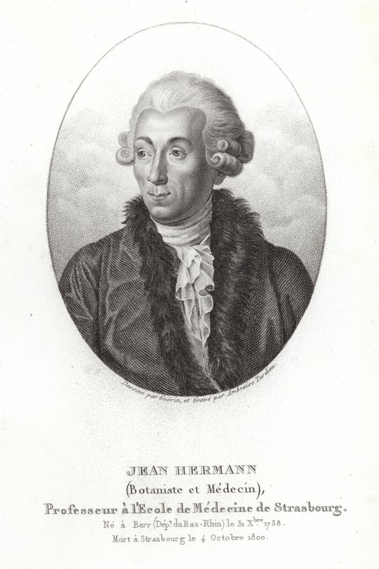 Jean Hermann von French School
