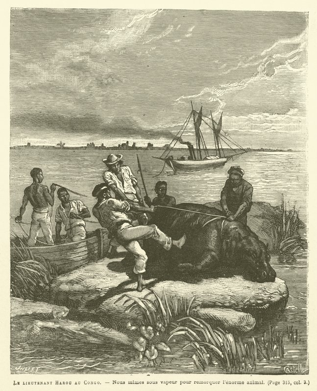 Leutnant Harou im Kongo (Stich) von French School