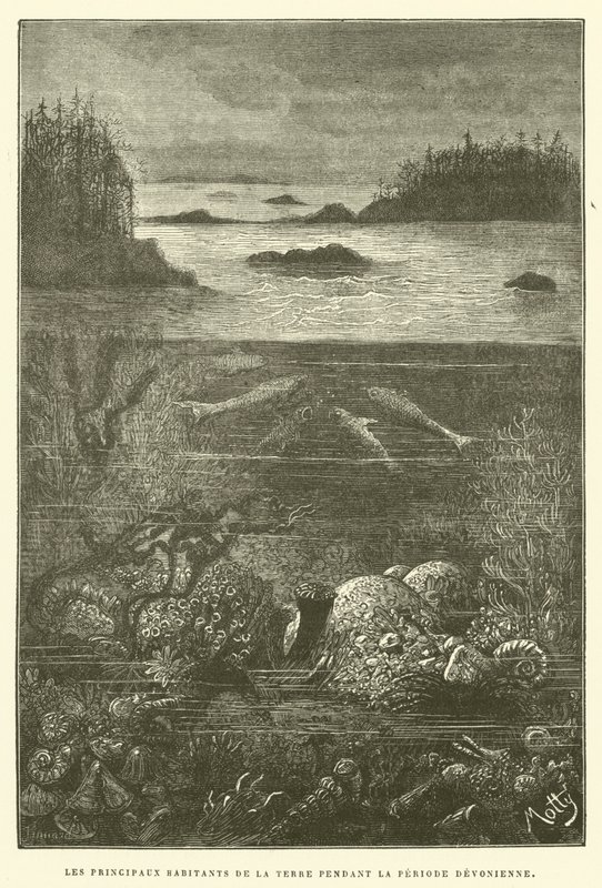 Die Hauptbewohner der Erde während der Devonzeit von French School