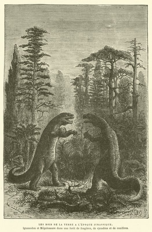 Die Könige der Erde in der Jurazeit von French School