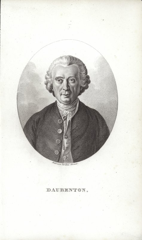 Louis-Jean-Marie Daubenton von French School
