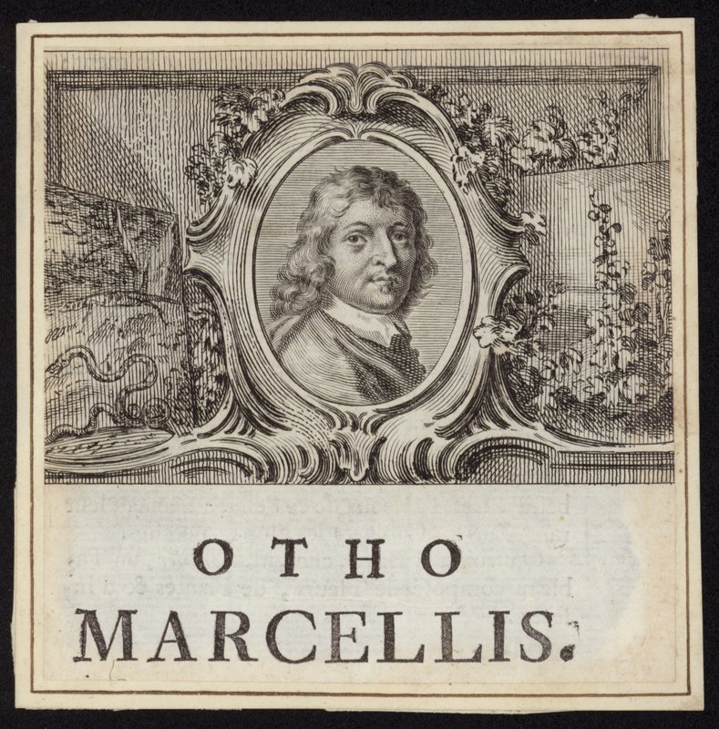 Otto Marseus van Schrieck von French School