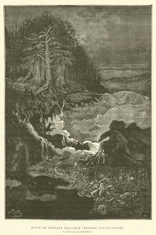 Szene aus der Triaszeit (Muschelperiode) von French School