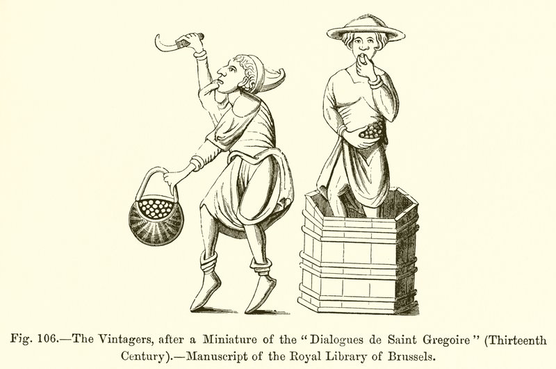 Die Weinleser, nach einer Miniatur der Dialogues de Saint Gregoire von French School