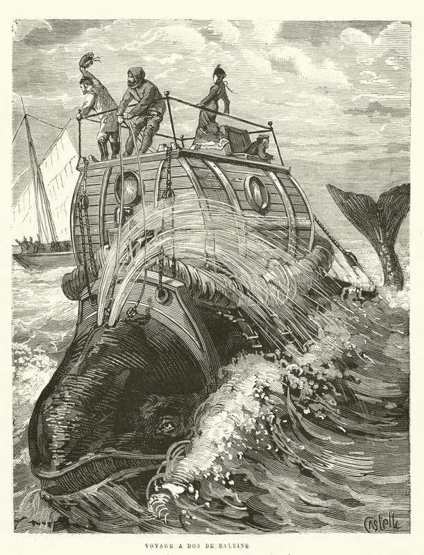 Reise auf dem Rücken eines Wals von French School