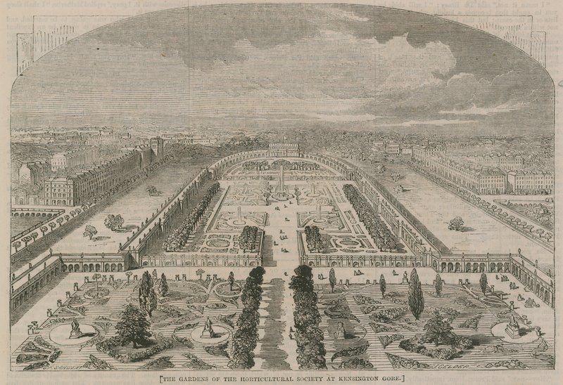 Die Gärten der Horticultural Society in Kensington Gore von G.F. Sargent