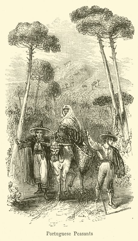 Portugiesische Bauern von G. F. Sargent