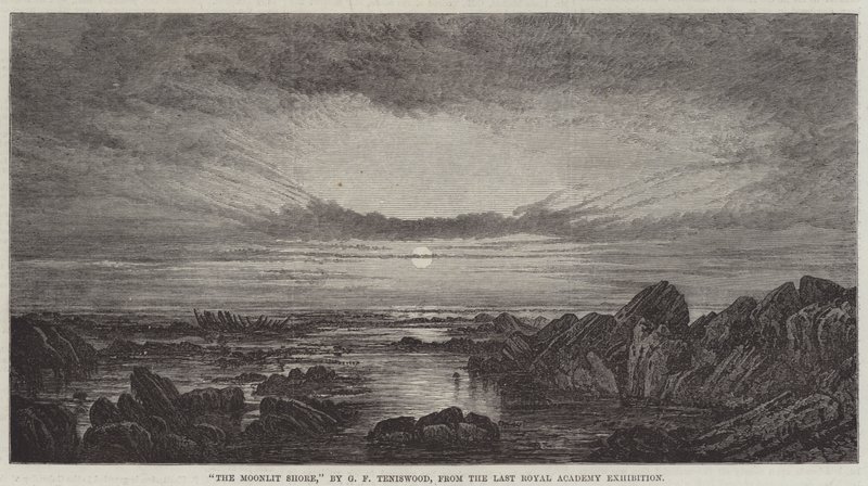 Die mondbeschienene Küste von George F. Teniswood