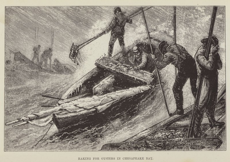 Austernrechen in der Chesapeake Bay von George Augustus Sala