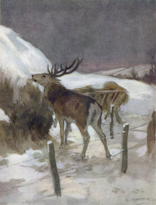 Illustration für 