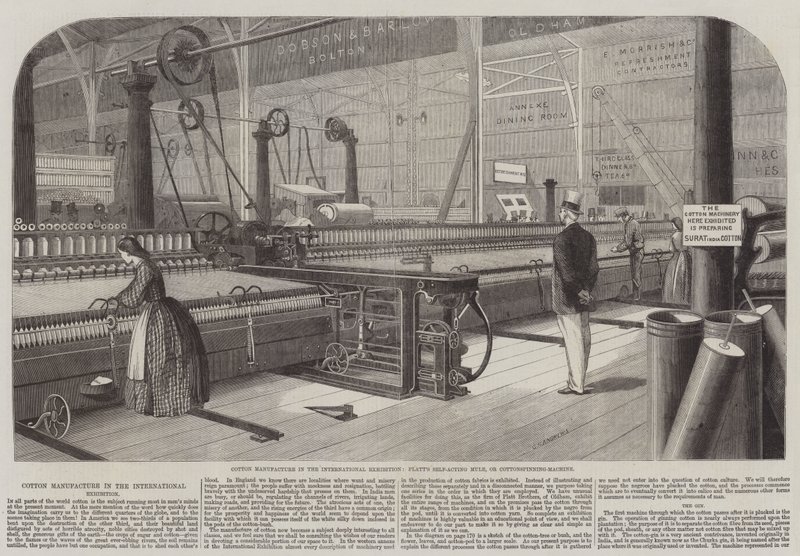 Baumwollproduktion auf der Internationalen Ausstellung, Platt