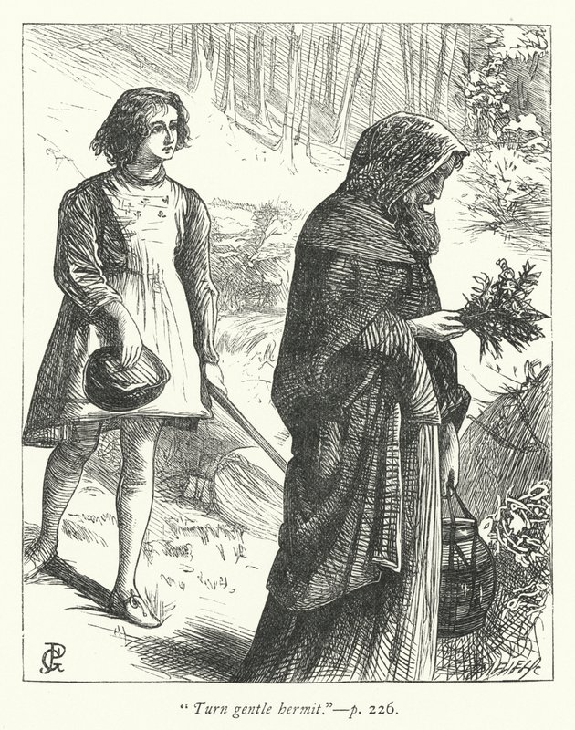 Illustration für Der Einsiedler (Gravur) von George John Pinwell