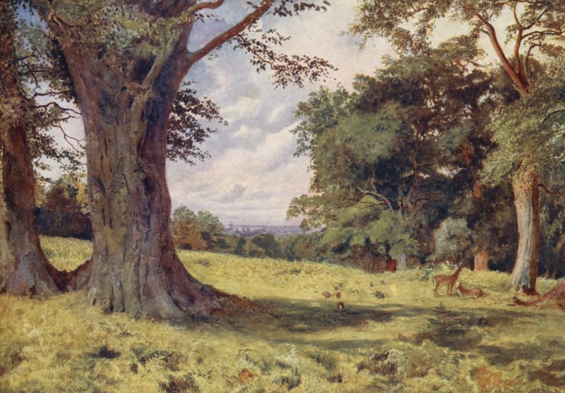 Eine Lichtung im Windsor Great Park von George Moore Henton