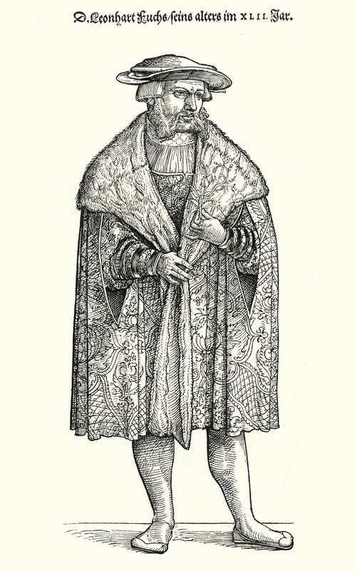 Dr. Leonhart Fuchs, deutscher Arzt, Botaniker und Professor an der Universität Tübingen von German School