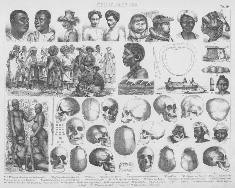 Illustration für Bilder-Atlas: Rassen und Schädel von German School